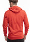 Džemperis vyrams Puma Team Goal Casuals Hooded 658595 01, raudonas kaina ir informacija | Džemperiai vyrams | pigu.lt