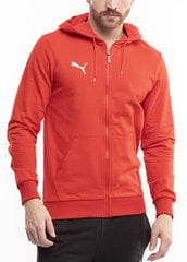 Džemperis vyrams Puma Team Goal Casuals Hooded 658595 01, raudonas kaina ir informacija | Džemperiai vyrams | pigu.lt