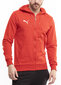 Džemperis vyrams Puma Team Goal Casuals Hooded 658595 01, raudonas kaina ir informacija | Džemperiai vyrams | pigu.lt