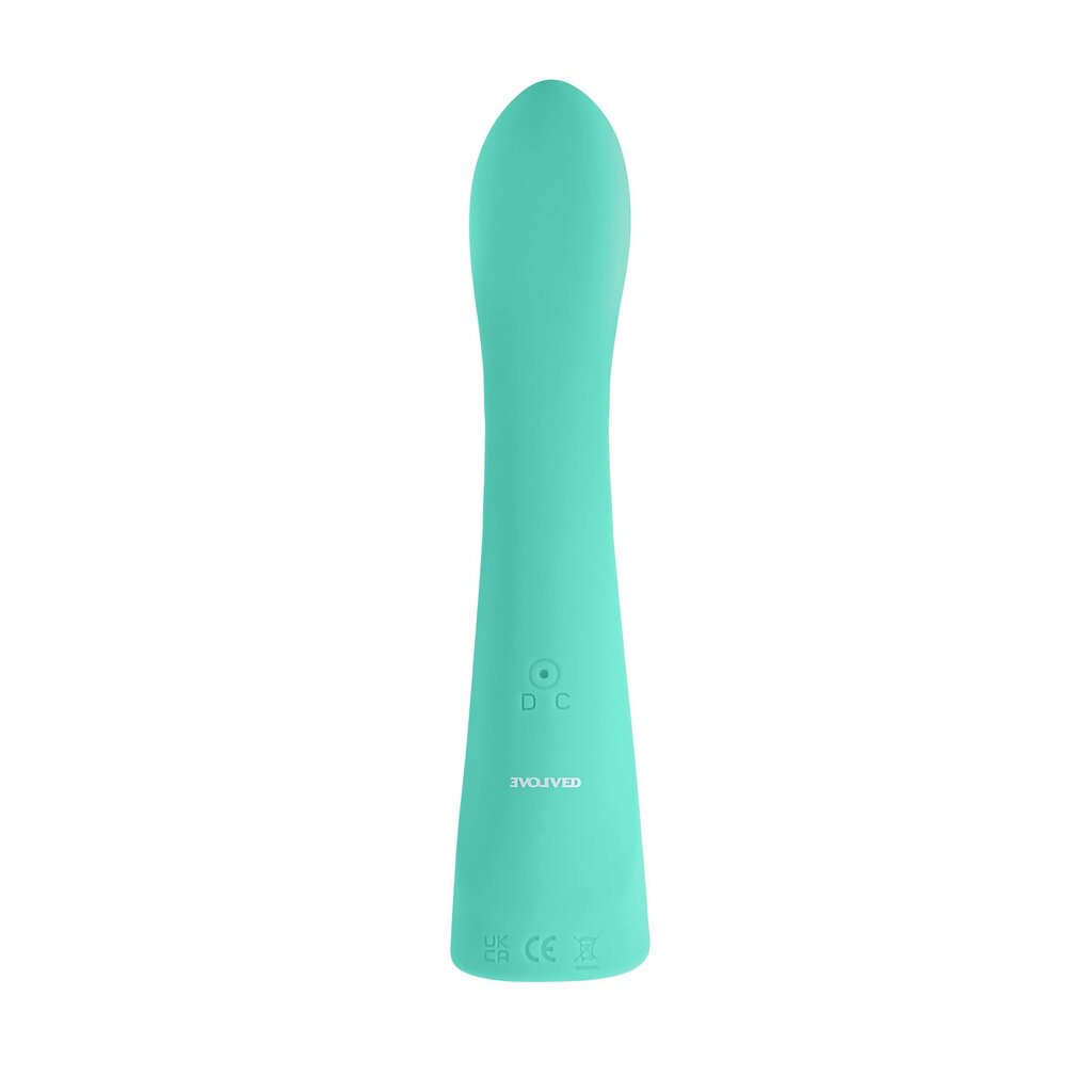 Вибратор Evolved Come With Me G-spot Vibrator цена | n18.pigu.lt