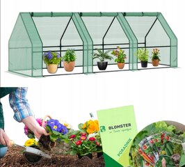 Мини-теплица/питомник Blomster, 270х95х95 см цена и информация | Теплицы | pigu.lt