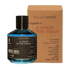 Kvapusis vanduo Emir Valar A Chaos In The Ocean EDP vyrams, 100 ml kaina ir informacija | Kvepalai vyrams | pigu.lt