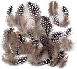 Wanruida красочные пятнистые перья для создания украшений, 100 шт. цена и информация | Принадлежности для изготовления украшений, бисероплетения | pigu.lt