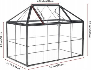 Мини стеклянная теплица/питомник в Хомтоне цена и информация | Теплицы | pigu.lt
