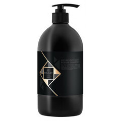 Atkuriamasis plaukų šampūnas Hadat Hydro Intensive Repair Shampoo цена и информация | Шампуни | pigu.lt