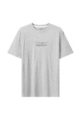 Glo Story marškinėliai vyrams MPO 3546, pilki kaina ir informacija | Vyriški marškinėliai | pigu.lt