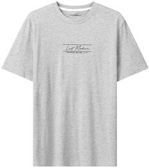 Glo Story marškinėliai vyrams MPO 3546, pilki kaina ir informacija | Vyriški marškinėliai | pigu.lt