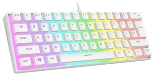 Rampage Radiant K11 White RGB kaina ir informacija | Klaviatūros | pigu.lt