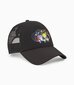 Kepurė berniukams Puma 025159*01, juoda цена и информация | Kepurės, pirštinės, šalikai berniukams | pigu.lt