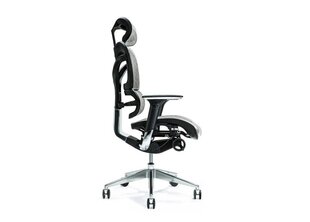 Biuro kėdė Bemondi Ergo 700, pilka kaina ir informacija | Biuro kėdės | pigu.lt