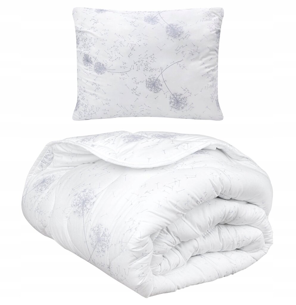 Fluxar antklodės ir pagalvės rinkinys, 140x200 cm kaina ir informacija | Antklodės | pigu.lt