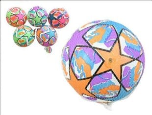 мяч, 23 см цена и информация | Игрушки для песка, воды, пляжа | pigu.lt