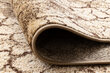 Rugsx kilimas Karmel Terra 70x170 cm kaina ir informacija | Kilimai | pigu.lt