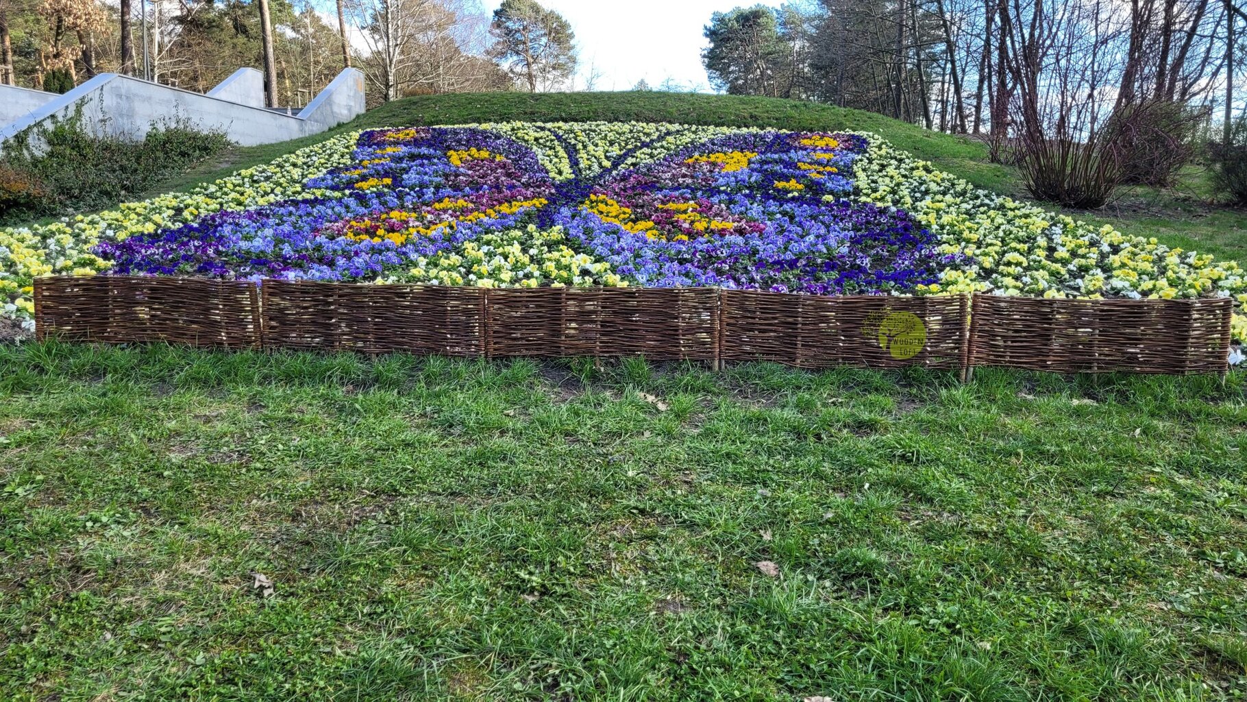 Pintos tvorelės 100x30cm rinkinys iš 5 vnt. Pintos palisados sodui. Vijoklinė tvorelė lovos tvorai kaina ir informacija | Tvoros ir jų priedai | pigu.lt