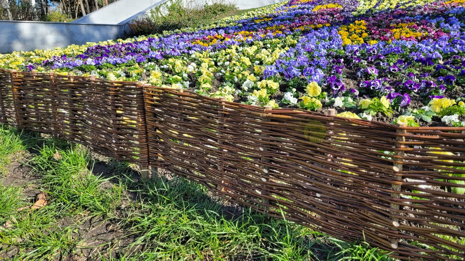 Pintos tvorelės 100x30cm rinkinys iš 5 vnt. Pintos palisados sodui. Vijoklinė tvorelė lovos tvorai kaina ir informacija | Tvoros ir jų priedai | pigu.lt