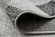 Rugsx kilimas Silver Etna 70x950 cm kaina ir informacija | Kilimai | pigu.lt
