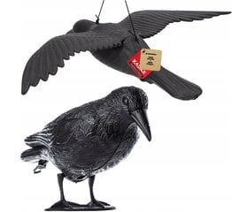 Paukščių baidyklės Kadax Raw Pigeons, 1 vnt. kaina ir informacija | Graužikų, kurmių naikinimas | pigu.lt