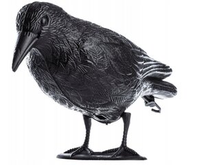 Paukščių baidyklės Kadax Raw Pigeons, 1 vnt. kaina ir informacija | Graužikų, kurmių naikinimas | pigu.lt
