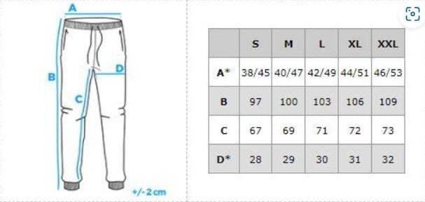 Termo kelnės vyrams Thermo-hose 21451, mėlynos цена и информация | Vyriški termo apatiniai | pigu.lt