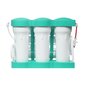 Atvirkštinio osmoso filtras MO675PUREMACECO Ecosoft P’URE AquaCalcium Mint цена и информация | Vandens filtrai, valymo įrenginiai | pigu.lt