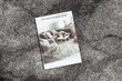 Rugsx kilimas Silver Marble 70x1250 cm kaina ir informacija | Kilimai | pigu.lt