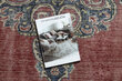Rugsx kilimas Vintage 10525 175x280 cm kaina ir informacija | Kilimai | pigu.lt