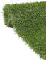 Dirbtinė žolė Evita kaina ir informacija | Dirbtinės gėlės | pigu.lt