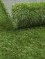 Dirbtinė žolė Evita kaina ir informacija | Dirbtinės gėlės | pigu.lt
