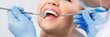 U-Smiler 59304 kaina ir informacija | Elektriniai dantų šepetėliai | pigu.lt