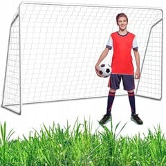 Futbolo vartai, 240x90 cm цена и информация | Футбольные ворота и сетки | pigu.lt