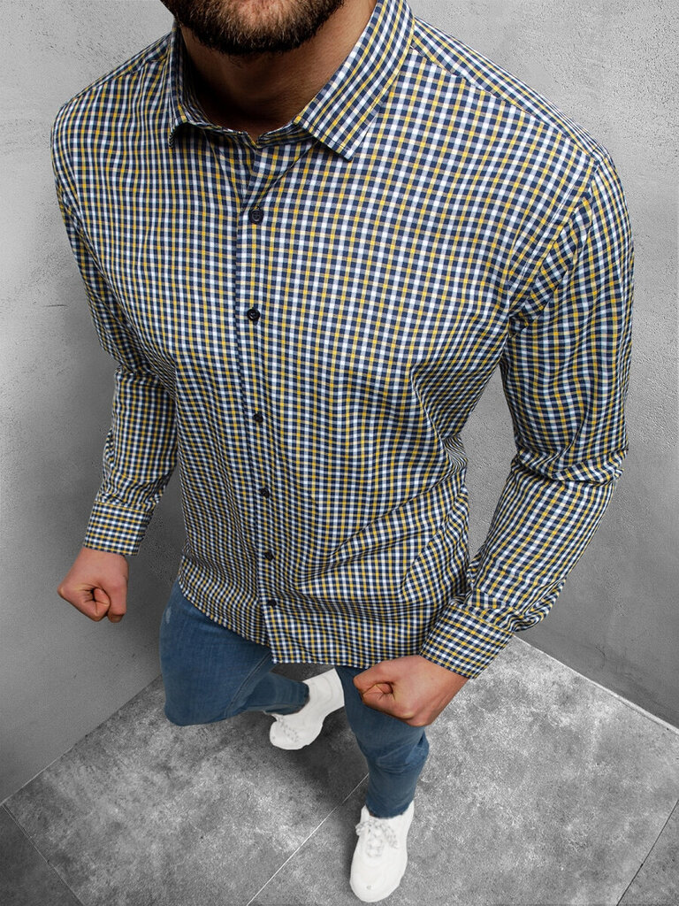 Marškiniai vyrams Gitol O/0622-53528, pilki цена и информация | Vyriški marškiniai | pigu.lt