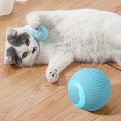 Interaktyvus Elektrinis Rutulio Žaislas Katėms kaina ir informacija | Žaislai katėms | pigu.lt