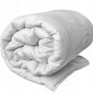 Fluxar antklodės ir pagalvių rinkinys, 220x200 cm kaina ir informacija | Antklodės | pigu.lt