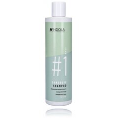 Plaukų šampūnas nuo pleiskanų Indola Innova Wash Dandruff, 300 ml kaina ir informacija | Šampūnai | pigu.lt