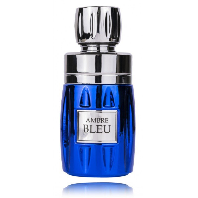 Kvapusis vanduo Lattafa Rave Ambre Bleu EDP vyrams, 100 ml цена и информация | Kvepalai vyrams | pigu.lt