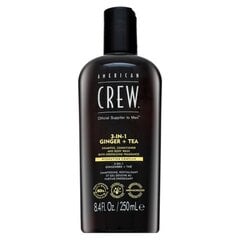 Plaukų šampūnas 3in1 American Crew, su imbieru ir arbata, 250 ml цена и информация | Шампуни | pigu.lt