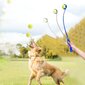 Šunų kamuoliukų paleidimo priemonė, mėlyna kaina ir informacija | Žaislai šunims | pigu.lt