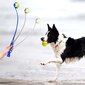 Šunų kamuoliukų paleidimo priemonė, mėlyna цена и информация | Žaislai šunims | pigu.lt