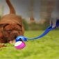 Šunų kamuoliukų paleidimo priemonė, mėlyna цена и информация | Žaislai šunims | pigu.lt