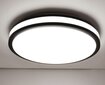 LED lubinis šviestuvas, AL-563 цена и информация | Lubiniai šviestuvai | pigu.lt