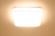 LED lubinis šviestuvas AL-564 kaina ir informacija | Lubiniai šviestuvai | pigu.lt