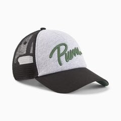 Puma мужская кепка 025120*01, черный/серый 4099685694624 цена и информация | Мужские шарфы, шапки, перчатки | pigu.lt