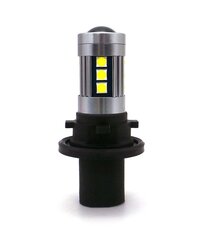 LED lemputė MotoLEDy PH19W kaina ir informacija | Automobilių lemputės | pigu.lt