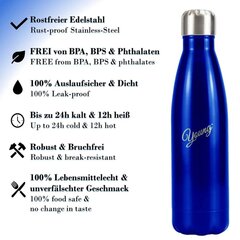 Питьевая бутылка из нержавеющей стали Young, синяя 1л цена и информация | Фляга | pigu.lt