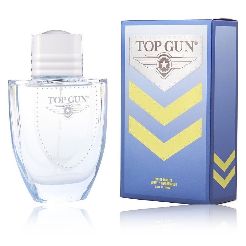 Tualetinis vanduo Top Gun Chevron EDT vyrams, 100 ml цена и информация | Kvepalai vyrams | pigu.lt