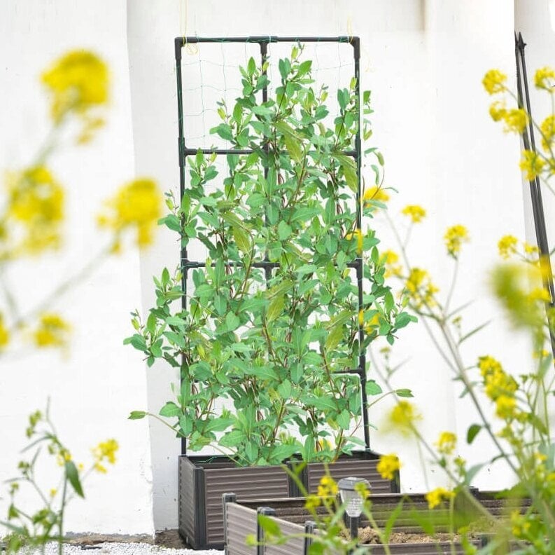 Mini šiltnamis Cultivo , 84 x 42 cm kaina ir informacija | Šiltnamiai | pigu.lt