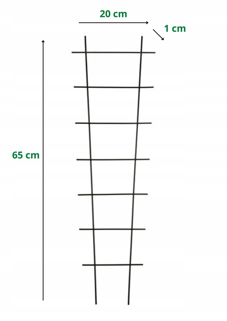 Atrama Kapelańczyk, 65 cm цена и информация | Gėlių stovai, vazonų laikikliai | pigu.lt