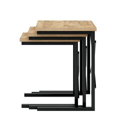 3-ių kavos staliukų komplektas Gigogne, rudas/juodas kaina ir informacija | Kavos staliukai | pigu.lt