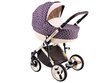 Universalus vežimėlis Lonex Comfort Standart 2in1, COM03 purple kaina ir informacija | Vežimėliai | pigu.lt