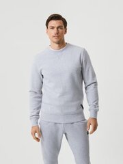 Björn Borg vyriškas džemperis, pilkas kaina ir informacija | BJORN Apranga, avalynė, aksesuarai | pigu.lt